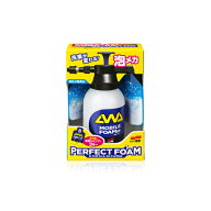 【アウトレット品】 SOFT99 ソフト99 パーフェクトフォーム スターティングセット 車用品 04940 ab-005-272