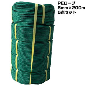 �y�A�E�g���b�g�i�z PE���[�v 6mm × 200m 5�_�Z�b�g �O���[�� �A���J�[���[�v �g���b�N���[�v �ג��� �Ɩ��p sp-042-004
