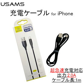 楽天市場 コンビニ ライトニングケーブルの通販