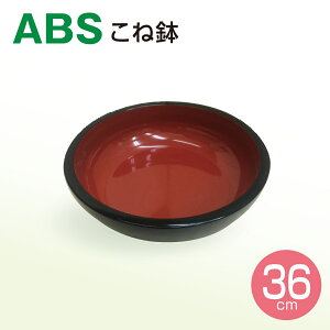 ABS ˔ ړTCY 36cm ϏՌ {E Αł 