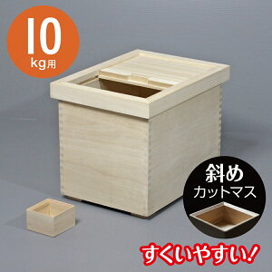 Ăт  10kg ːĂт DX-10 ؐ Oӂ  CXXgbJ[ ğC V {