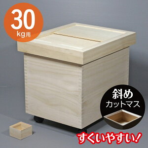 Ăт  30kg ːĂт DX-30 ؐ Oӂ  LX^[t ğC V {