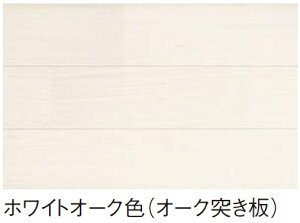 pi\jbNtBbgtA[yKEFV3WYz 2{a 1 zCgI[NF I[N˂ yz