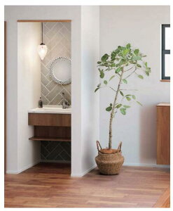 pi\jbN V[C yGC-905Jz Wall to wall^Cv ~[ʔ聦 y ^CvAzy XlbNVOo[z900mm RۉH ʃhbVO ʑ ʉϑ y