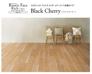 NODA m_ XeBbNtFCX b` Jx[X VC ubN`F[ 1{a 6 1 REBXH g[Ή t[O ؎ށ