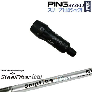 PINGnCubh X[utVtg s [eBeB X`[t@Co[ i V[Y(e[p[) SteelFiber TRUE TENPER gD[ep[ JX^Nu NG