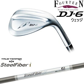 【OVDカスタム】DJ-6 ウェッジ[WD]フォーティーンFOURTEEN スチールファイバーi (テーパー) SteelFiberTRUE TEMPER