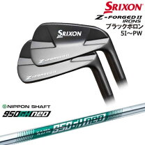 楽天市場】zx5 アイアン nspro950gh neoの通販