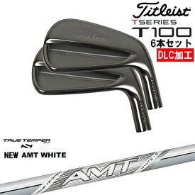 【OVDオリジナル】タイトリスト T100 アイアン6本set(5I-PW) DLC仕上げ[5P]タイトリストTitleist New AMT WHITE ホワイトTRUE TEMPERトゥルーテンパー