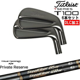 【OVDオリジナル】タイトリスト T100 アイアン6本set(5I-PW) DLC仕上げ[5P]タイトリストTitleist SteelFiberiシリーズ SteelFiber Private Reserve トゥルーテンパー