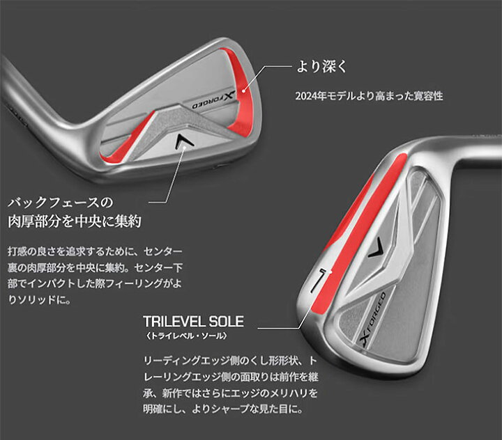 楽天市場】【OVDカスタム】X FORGED アイアン5本set(6I-PW) 2026年 