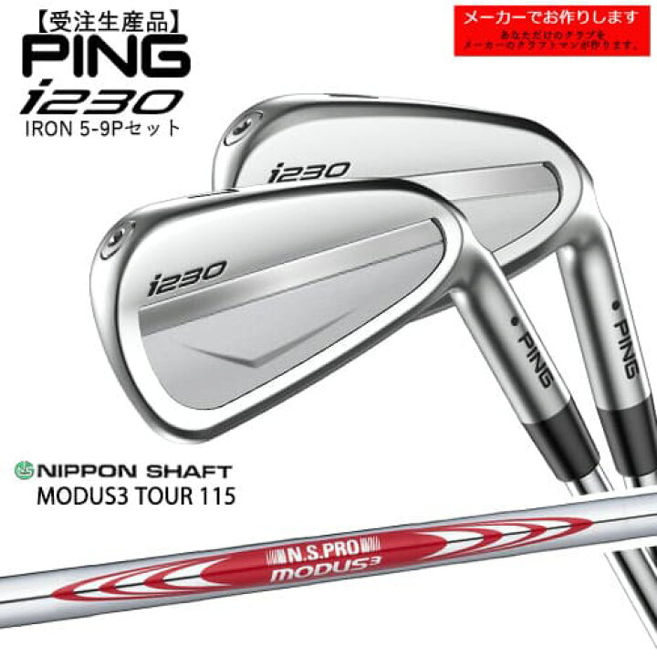 PING i230 ピン アイアン6本 6-9 W.U 純正特注speederNX35 赤ドット 