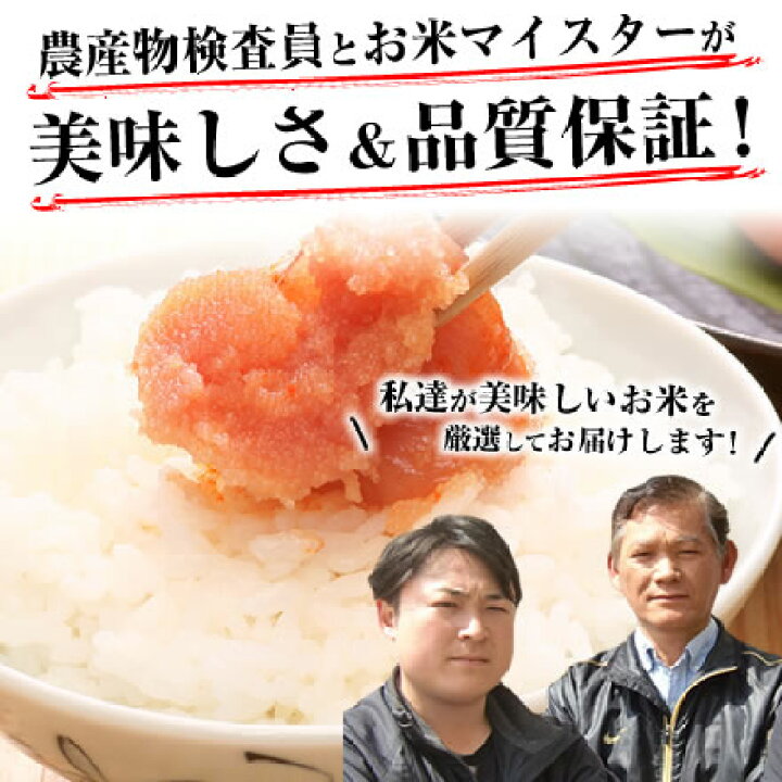 楽天市場】新米 米 10kg（5kg×2）送料無料 ふさこがね 令和7年産 千葉 