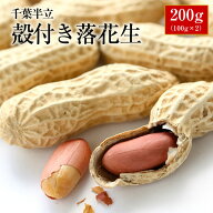 1000円 送料無料 天日干し 千葉県産 千葉半立 から付落花生 200g(100g×2)【お試し品】 ALL￥1000 ポッキ…