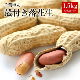 2023年産 ギフト 送料込み 天日干し 千葉県産 千葉半立 から付落花生 1.5kg（300g×5袋セット） ピーナッツ おつまみ 楽ギフ_包装 楽ギフ_のし 楽ギフ_メッセ入力