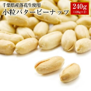 ALL1000  o^[s[ibc120g×2@tgpI i tY Ԑ s[ibc ܂ 䂤pPbg
