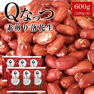 2025NY tY QȂ f藎Ԑy݁z Ԑ 600gi100g×6js[ibc  ܂  Qibc ̓ 蕨 ̓  Ε Mtg 0
