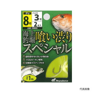 nuT Cޖxd| t 򂢏aXyV IS603 2Zbg Hayabusa [֑Ή