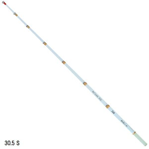 _C DAIWA NXeBAJTM q SS 30.5cm