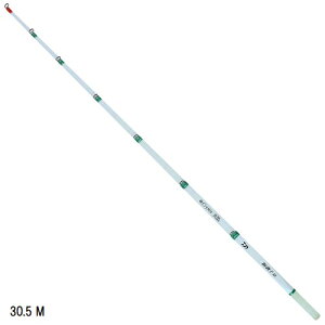 _C DAIWA NXeBAJTM q SS 30.5cm