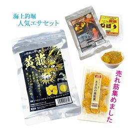 海上釣堀エサセットB 今売れてるセット 冷凍餌 クール便利用 【通販限定】