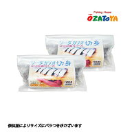 海上釣堀 エサ 大郷屋謹製 ソーダカツオ切身 はらわた漬け〈ハーフ〉 2個セット 冷凍餌 OZATOYA クール便…
