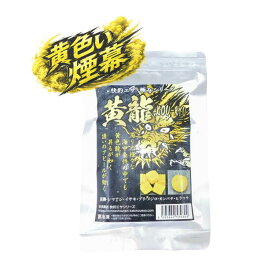 海上釣堀 エサ 本多商店 快釣エサ 黄龍-KOU-RYU- 冷凍餌 ※クール便利用