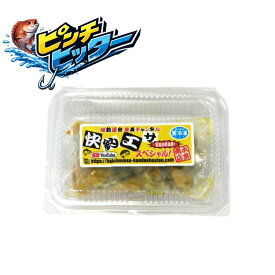 海上釣堀 エサ 本多商店 快釣エサスペシャル ※クール便