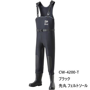 _C CW-4200-T ^CgtBbgNvEF[_[ XpCN\[ 