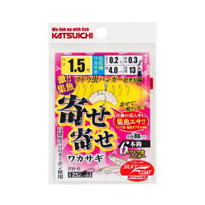 JcC` JTMd| BW-6 񂹊񂹃JTM 6{b [֑Ή\