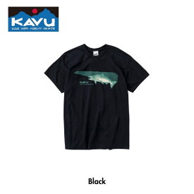 カブー KAVU Salmon 2C Tee サーモン 2C Tee [26SS] メンズ Tシャツ