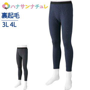  Ci[ ^Cc {g XbNX Y{ N 3L 4L 傫TCY 傫 H ~  {g Y ̂т̂ ^Cc Vc 씧 쉺  j am p 