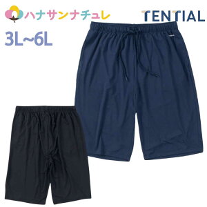 BAKUNE Mesh �V���[�g�p���c �����Y �傫���T�C�Y ���J�o���[�E�F�A TENTIAL SELFLAME(R) �Z���t���[�� 3L 4L 5L 6L �傫�� �r�b�O�T�C�Y big �T�C�Y ���� ���s���i �j�� ���� �}���`�F�X