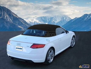 �A�E�f�B �\�t�g�g�b�v/�y TT/8S ���[�h�X�^�[ �L�����o�X/Twillfast RPC �h���d�l GAHH��