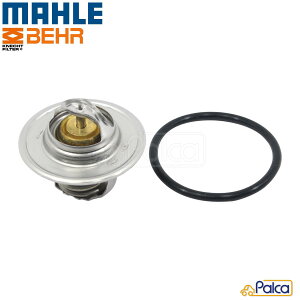 AUDI/VW T[X^bg 1.6/1.8/2.0Lp| A3 S3/8L | A3|8P/8PBGU 8PBSE | A4/8D B5 | TT/8N | St4 | {[ | |/9N | pT[g/3B B5 | j[r[g