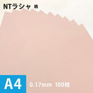 Z[ NTVuv116g/ A4TCYF100, Y V F 낪 p  t@V[y[p[ ؂G H R   |X^[ h p J[h   