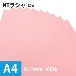 Z[ NTVu΂v116g/ A4TCYF100, Y V F 낪 p  t@V[y[p[ ؂G H R   |X^[ h p ҏ {m