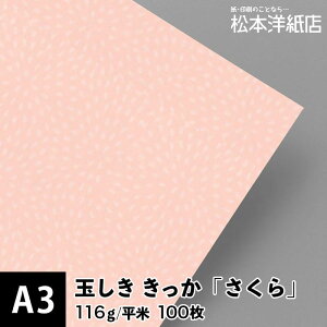 ʂ   116g/ 0.15mm A3TCYF100, a  a p  a F 낪  t@Cy[p[ bZ[W J[h ͂ h ē ҏ p {