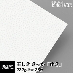 yzʂ u䂫v232g/ 0.34mm STCY 1091×788mm 25, a  a p   t@Cy[p[ bZ[W J[h ͂ h e ẻ p 