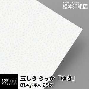 yzʂ u䂫v81.4g/ 0.12mm STCY 1091×788mm 25, a  a p   t@Cy[p[ bZ[W J[h ͂ h e ẻ p 