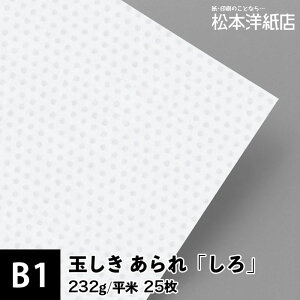 ʂ uv232g/ 0.34mm B1TCYF25, a  ]ˏ p   t@Cy[p[ bZ[W J[h ͂ h ē ҏ  ꕿ p {
