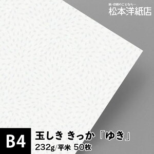 ʂ u䂫v232g/ 0.34mm B4TCYF50, a  a p  a F 낪  t@Cy[p[ bZ[W J[h ͂ h ē ҏ  p