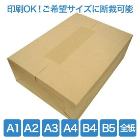 画材用紙 和紙 大礼紙 A5 / A4 / A3 / A2 / A1 / B5 / B4 / B1 / 全紙, 和紙 招待状 挨拶状 封筒 紙袋 箸包み お品書き 和紙風模様紙 片面印刷 レーザープリンター