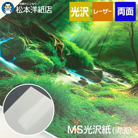 MS光沢紙W 両面 0.15mm/0.17mm/0.2mm/0.24mm/0.33mm A4/A3/B4/B5, 両面印刷 光沢紙 印刷紙 印刷用紙 カラー レーザープリンター用 光沢感 カタログ 会社案内 高級感 ハガキ印刷 用紙 松本洋紙店 法人 仕入れ 見積もり 掛売 納品書 請求書 後払い 請求書払い