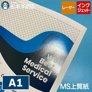 MS㎿ A1 250, Rs[p CNWFbgΉ [U[v^[Ή ptbg J^O Г ~VډH\  [i