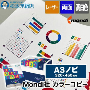 Mondi J[Rs[ A3mr, F ʈΉ I[XgA J[[U[p F̔POP ЊOv[ ㎿Ȗh \ 񍐏 fUCv[e[V 