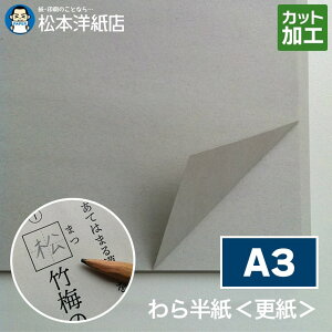 甼X A3TCY 1000~