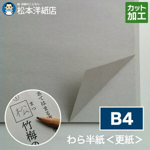 甼 X B4TCY 1000~