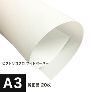 yPICTORICOizsNgRv tHgy[p[ A3 20 PPR200-A3-20, 痿p Fx  ʐ^p tHg  p 掆 CNWFbgp