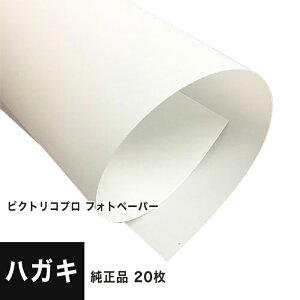 yPICTORICOizsNgRv tHgy[p[ nKLTCYF20 PPR200-HG-20, 痿p Fx  ʐ^p tHg  p 掆 CNWFbgp {mX